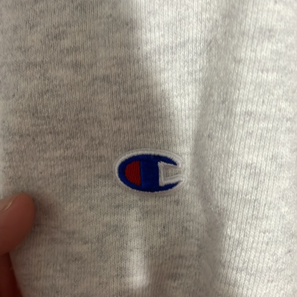 Babson Champion Hoodie - Picture 3 of 4